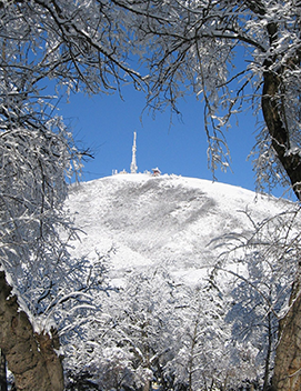 Праздничные